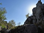 In Linzone spettacolo di narcisi e muscari con capre orobiche – 10magg22-FOTOGALLERY